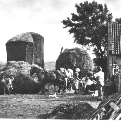 ‘1895 Four Lane Ends Farm, Whitby’ Courtesy of the Yorkshire Museum of Farming.