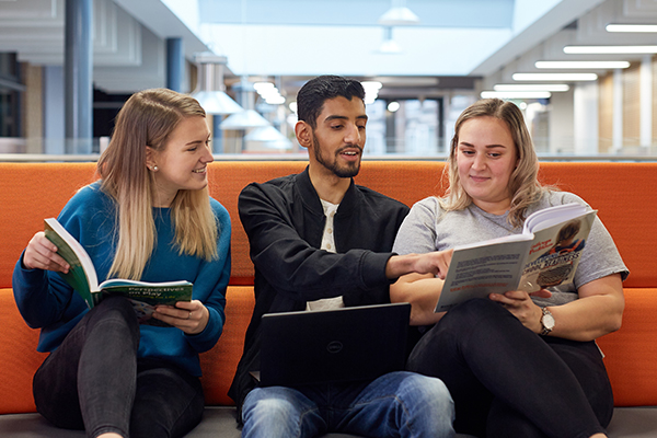 Students learning together in library social space.