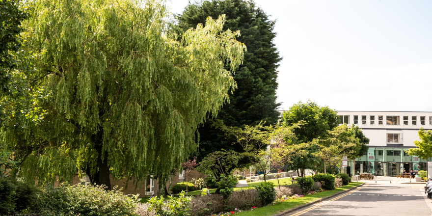 An image of the trees in front main reception at Leeds Trinity University.